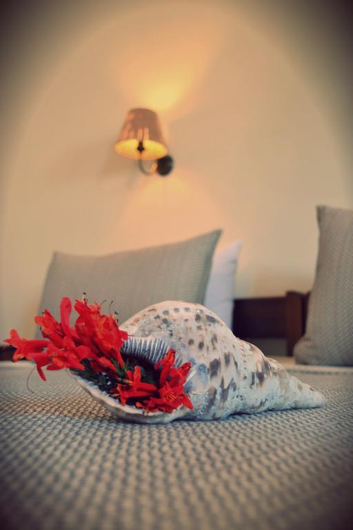 Anemologio Apartment Finikas  Cameră foto